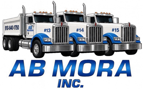AB Mora Logo AB Mora Logo